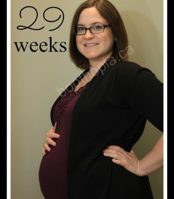 29 weeks